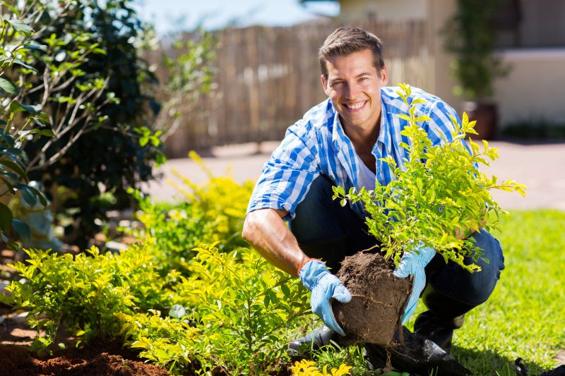 Bush Planting Service in Honolulu, HI